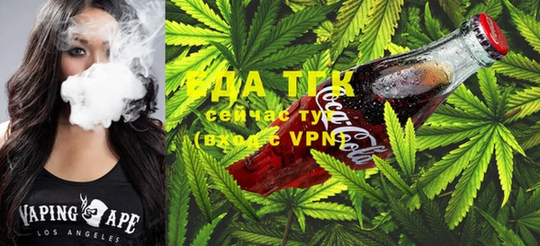 стаф Алзамай