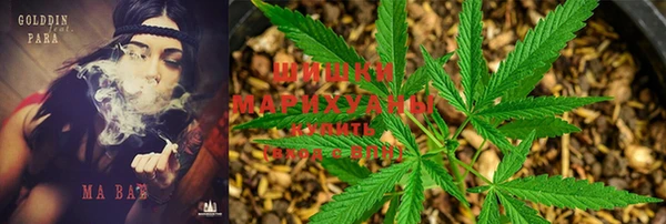 каннабис Магас