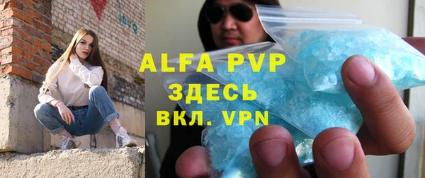 стаф Алзамай