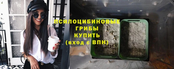 spice Алексин
