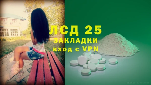 стаф Алзамай