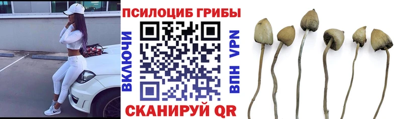 что такое наркотик  даркнет Telegram  Псилоцибиновые грибы мухоморы  Фокино 