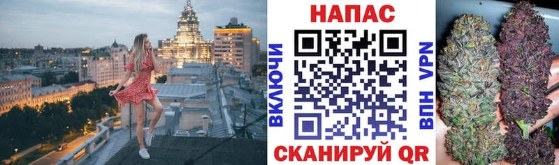где купить наркоту  Фокино  Бошки марихуана THC 21% 